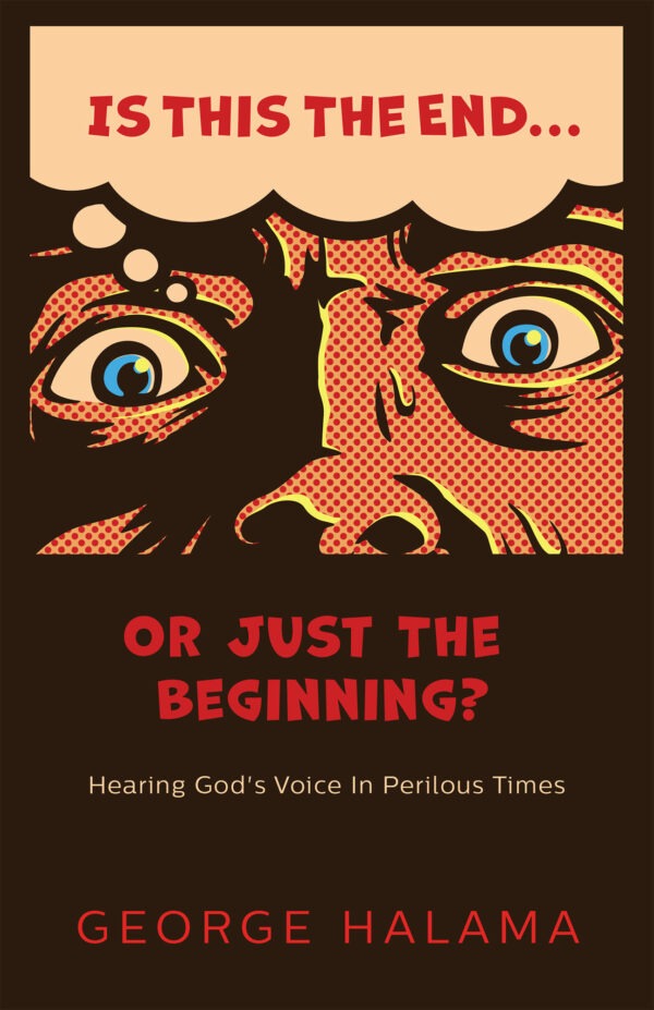Book – Is This The End . . . Or Just The Beginning - Image 2