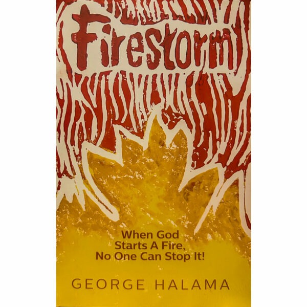 Book - Firestorm